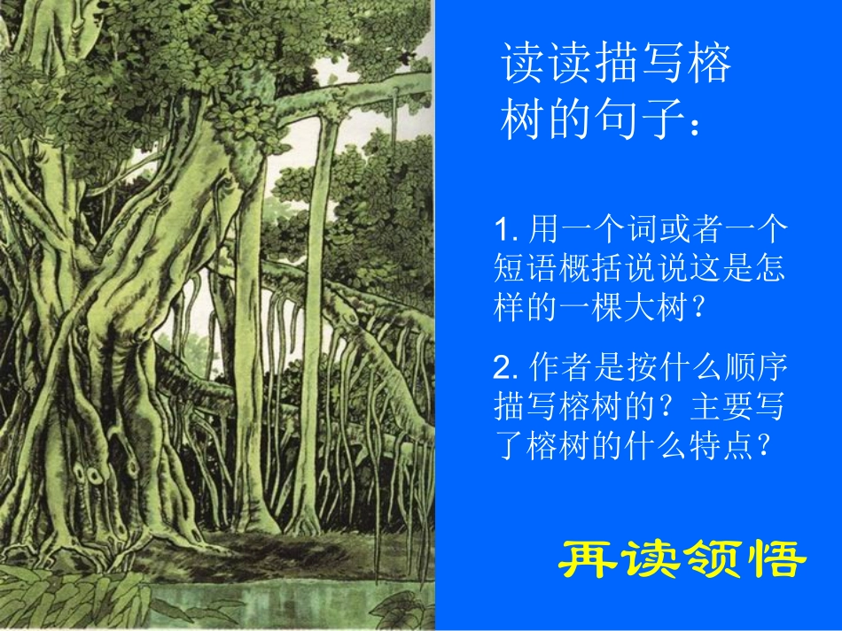 《鸟的天堂》教学课件——左会莉_第3页