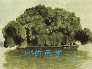 《鸟的天堂》教学课件——左会莉