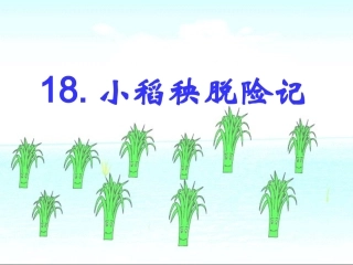 18、小稻秧脱险记二课时