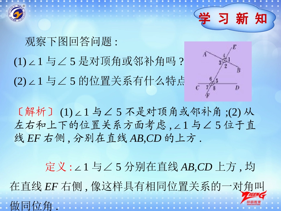 5.1.3-同位角、内错角、同旁_第3页