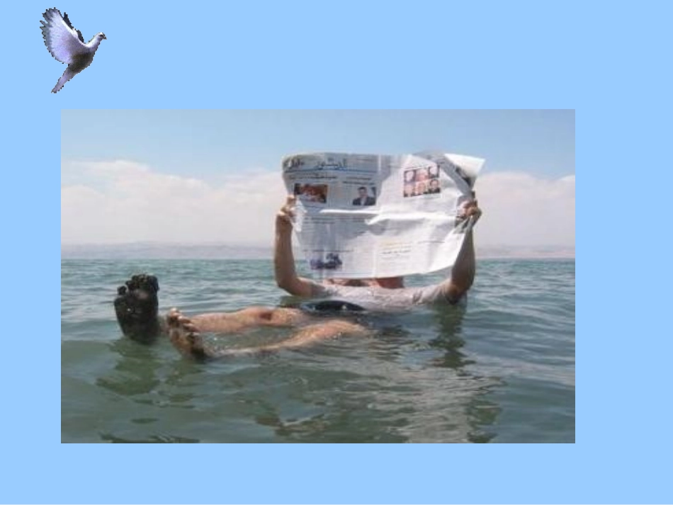 课题1-溶液的形成-课件-2_第2页