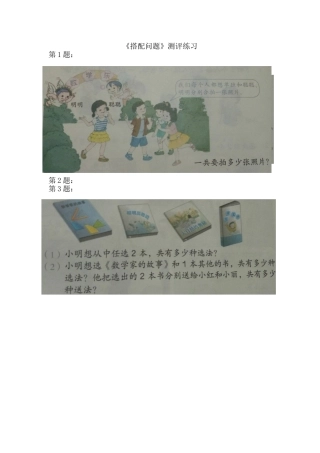 人教2011版小学数学三年级《搭配问题》评测练习