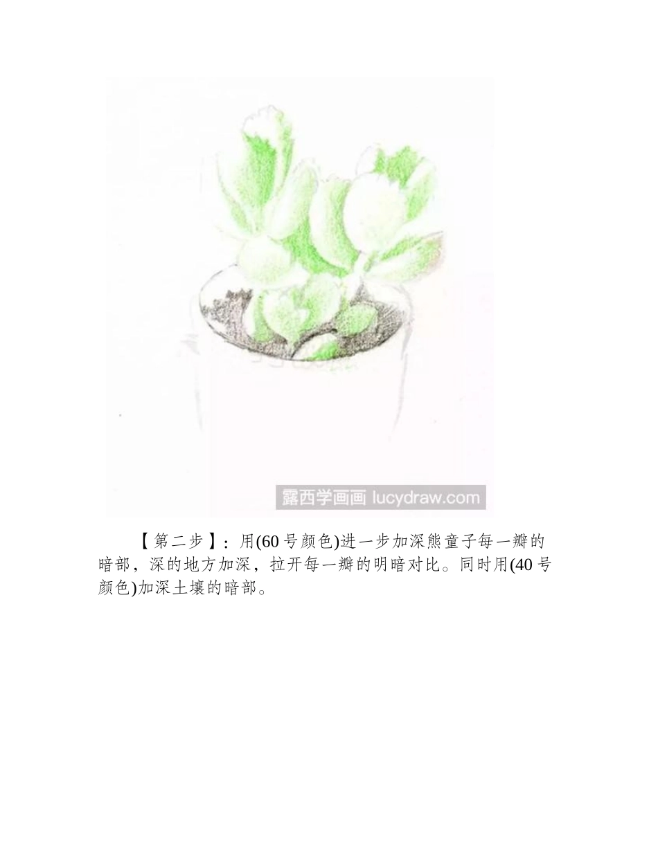 熊童子彩铅教程彩铅画教程2_第2页