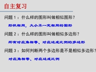 24.3.1相似三角形