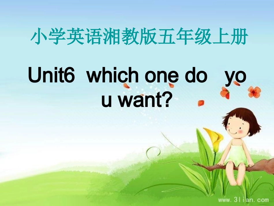 which--one--do-you--want_第2页