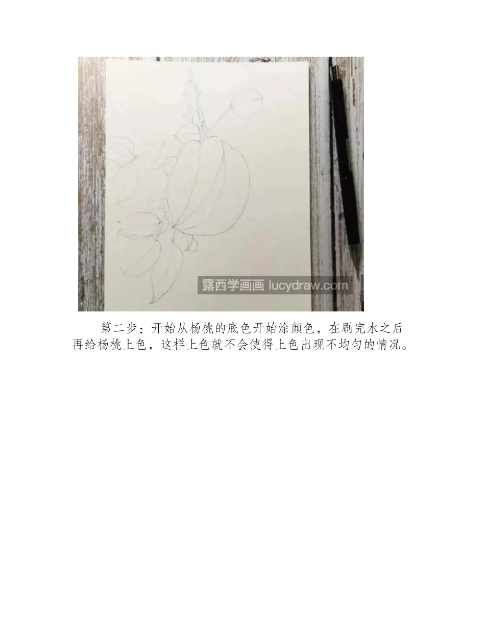 杨桃的画法是什么_杨桃水彩画教程是怎样的_水彩画教程_第2页