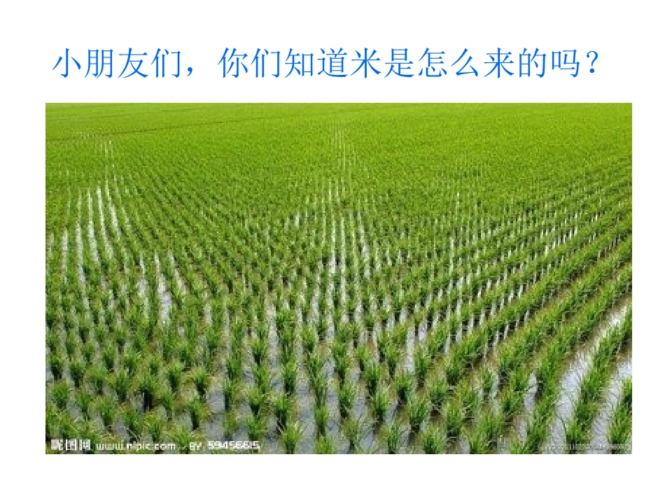 大班社会教案米制品_第2页