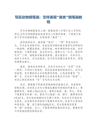 写实动物钢笔画：怎样表现“禽类”钢笔画教程