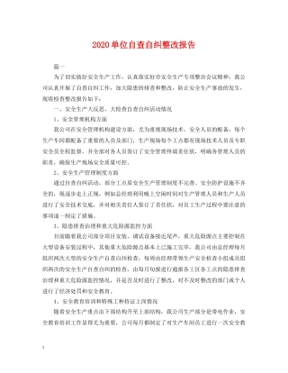 2024单位自查自纠整改报告