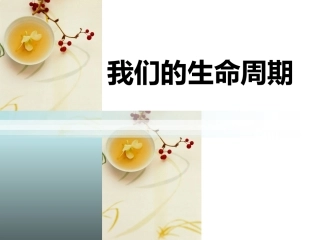 2-7我们的生命周期