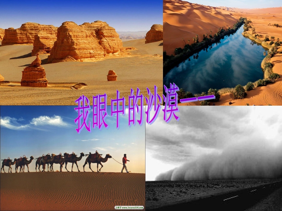 沙漠里的奇怪现象课件_第3页