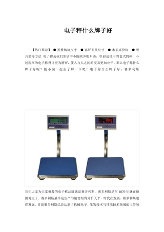 电子秤什么牌子好