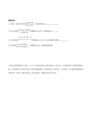方程组与不等式中整体思想跟踪训练