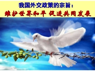 我国外交政策的宗旨：维护世界和平、促进共同发展