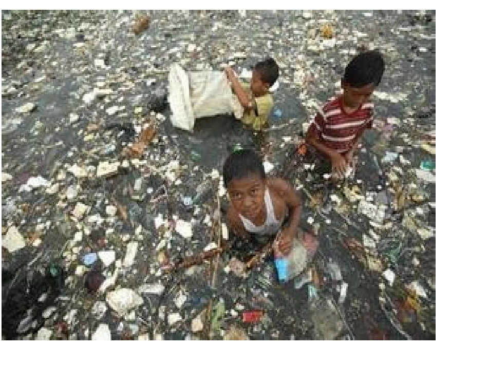 垃圾哪里去了_第1页