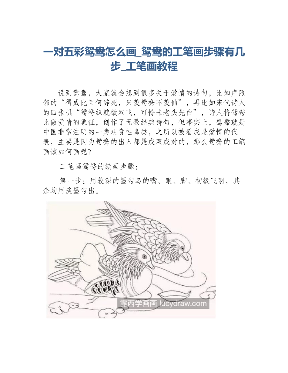 一对五彩鸳鸯怎么画_鸳鸯的工笔画步骤有几步_工笔画教程_第1页