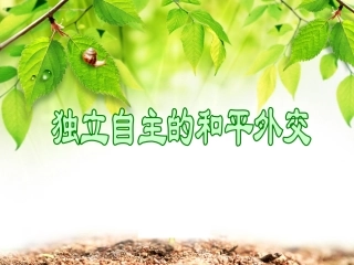第15课--独立自主的和平外交-PPT