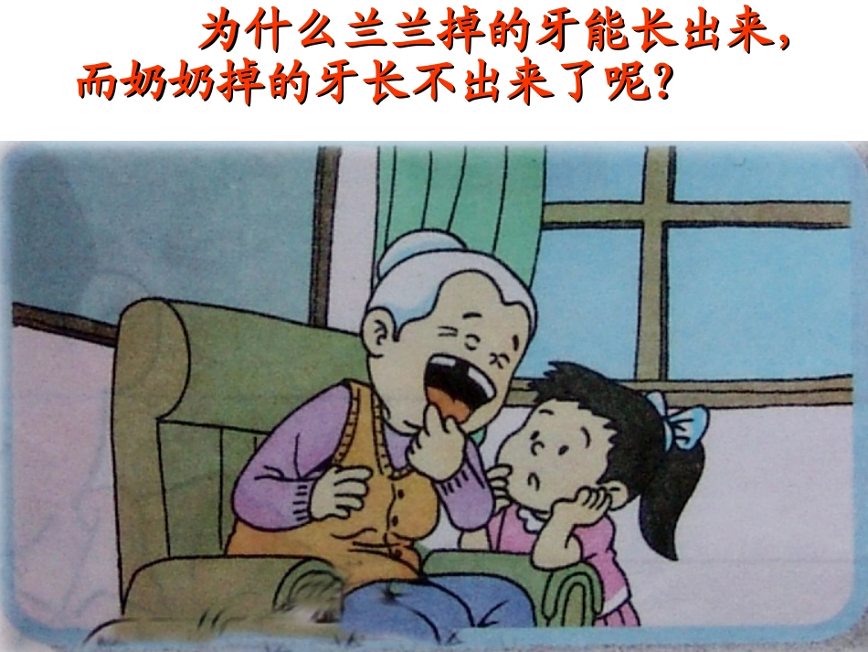 9课我换牙了_第3页