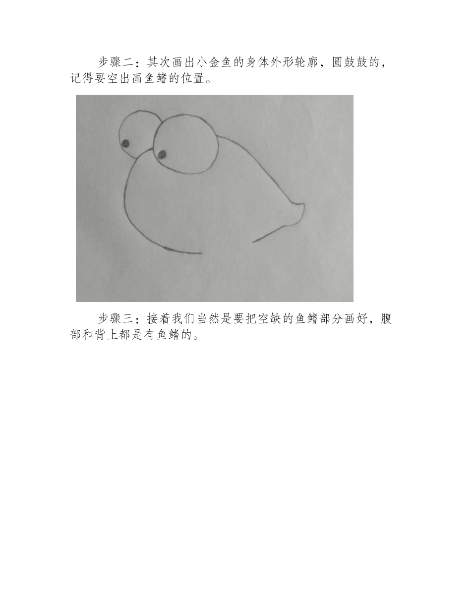 小金鱼怎么画_金鱼简笔画步骤简笔画教程_第2页