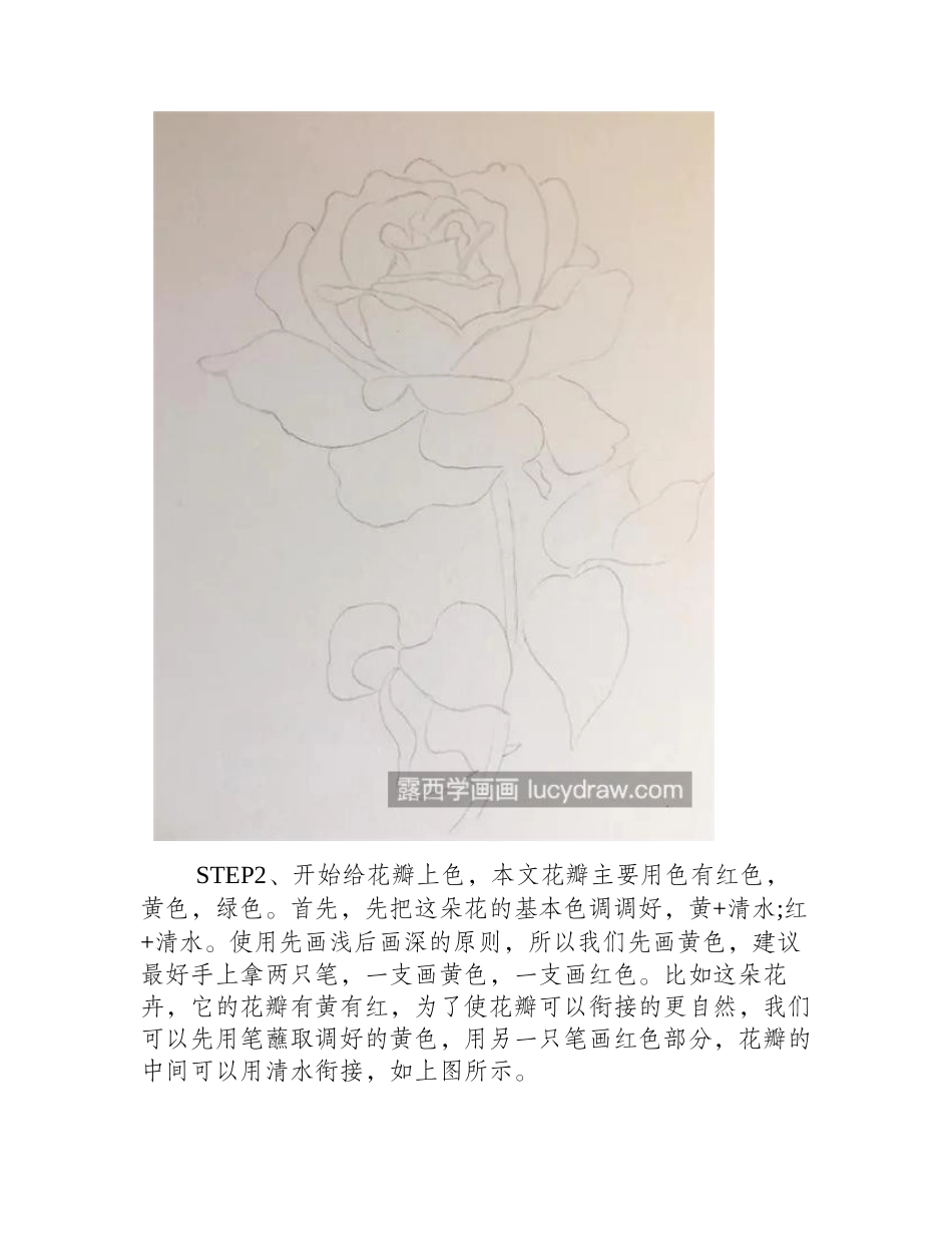 月季花怎么画_超级详细的水彩步骤分享水彩画教程_第2页
