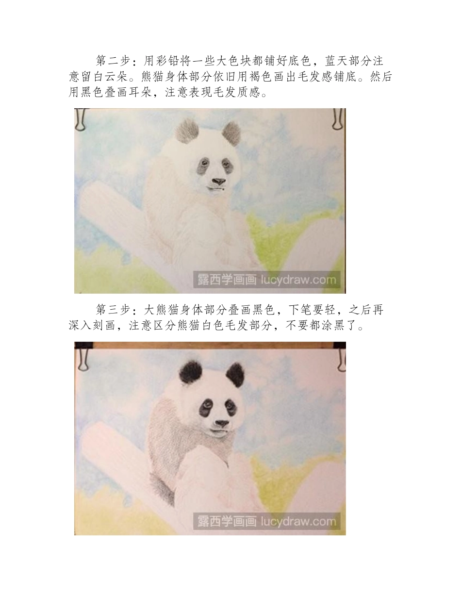 熊猫彩铅画教程彩铅画教程_第2页