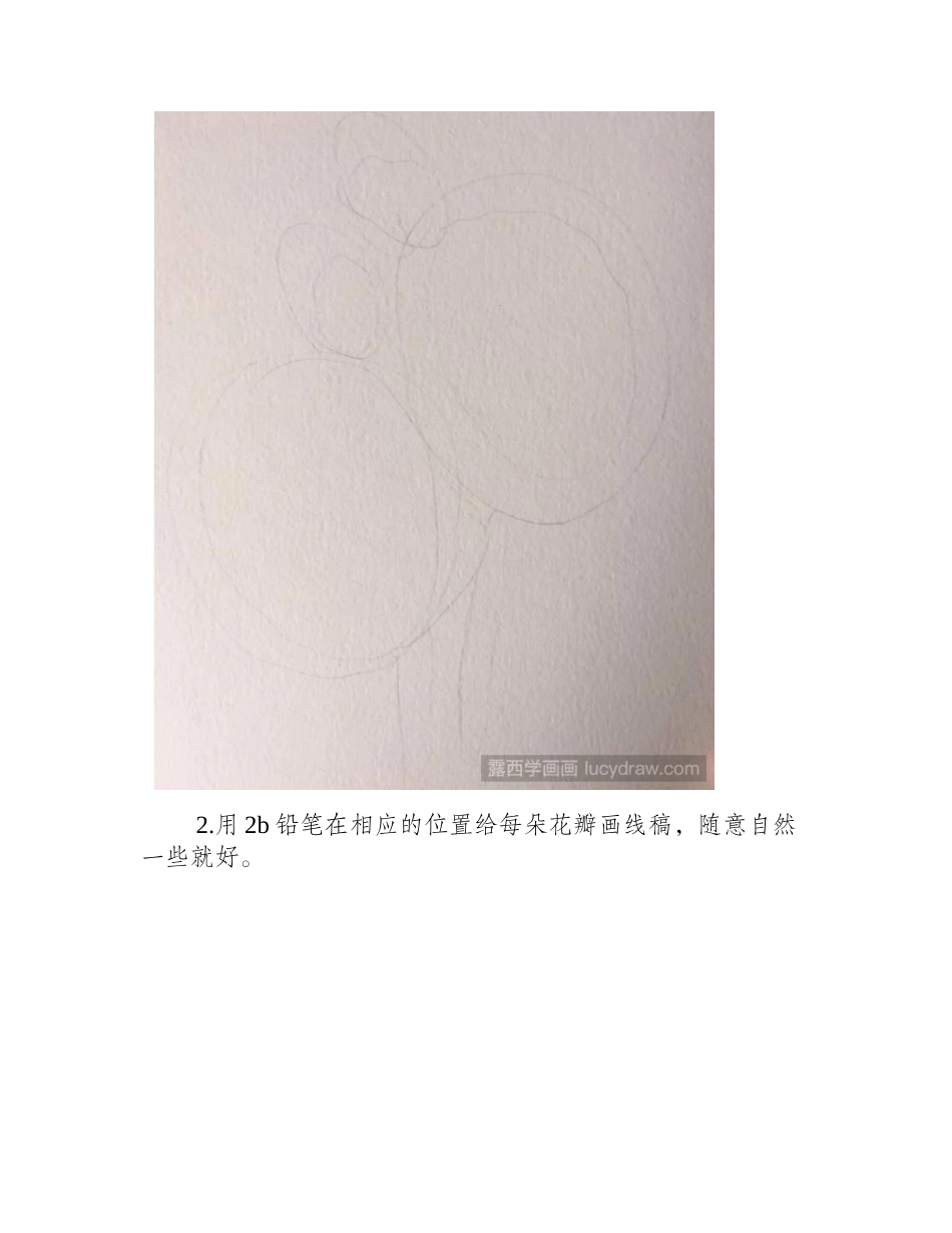紫蓝色水仙花水彩画教程是什么_水粉画教程_第2页