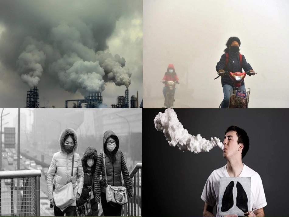 《第二声叹息》课件_第2页