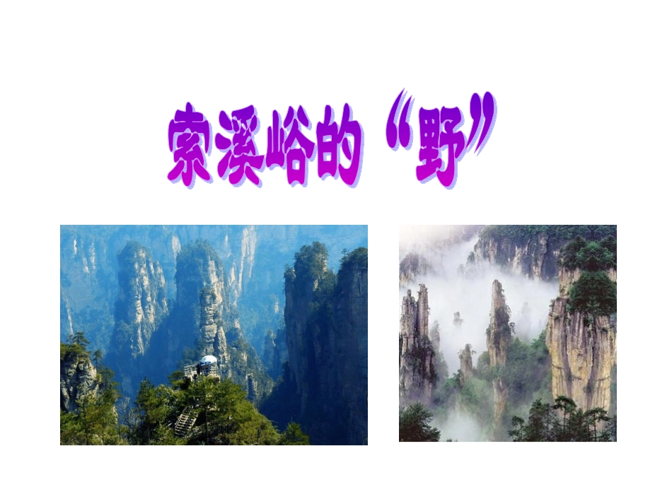 4索溪峪的“野”ppt课件1_第3页