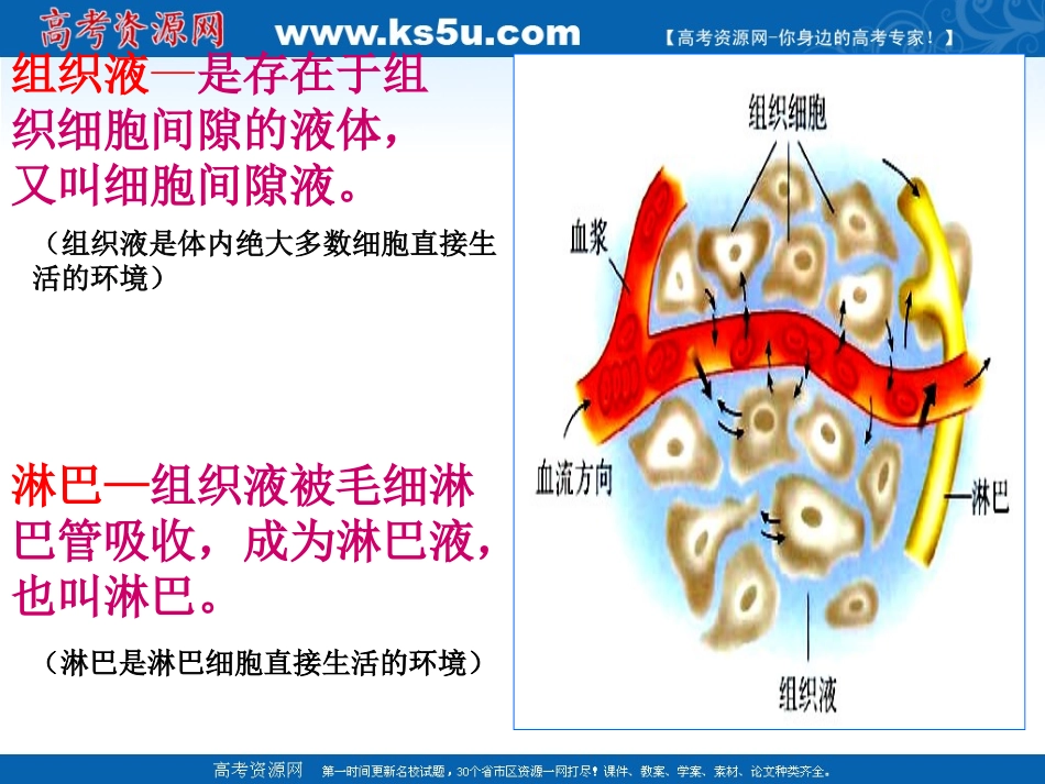 细胞生活的环境_第3页