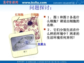 细胞生活的环境