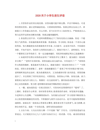 2024关于小学生差生评语