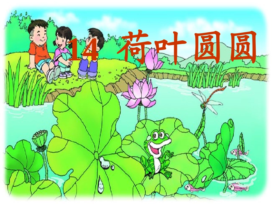 14荷叶圆圆ppt课件1_第2页