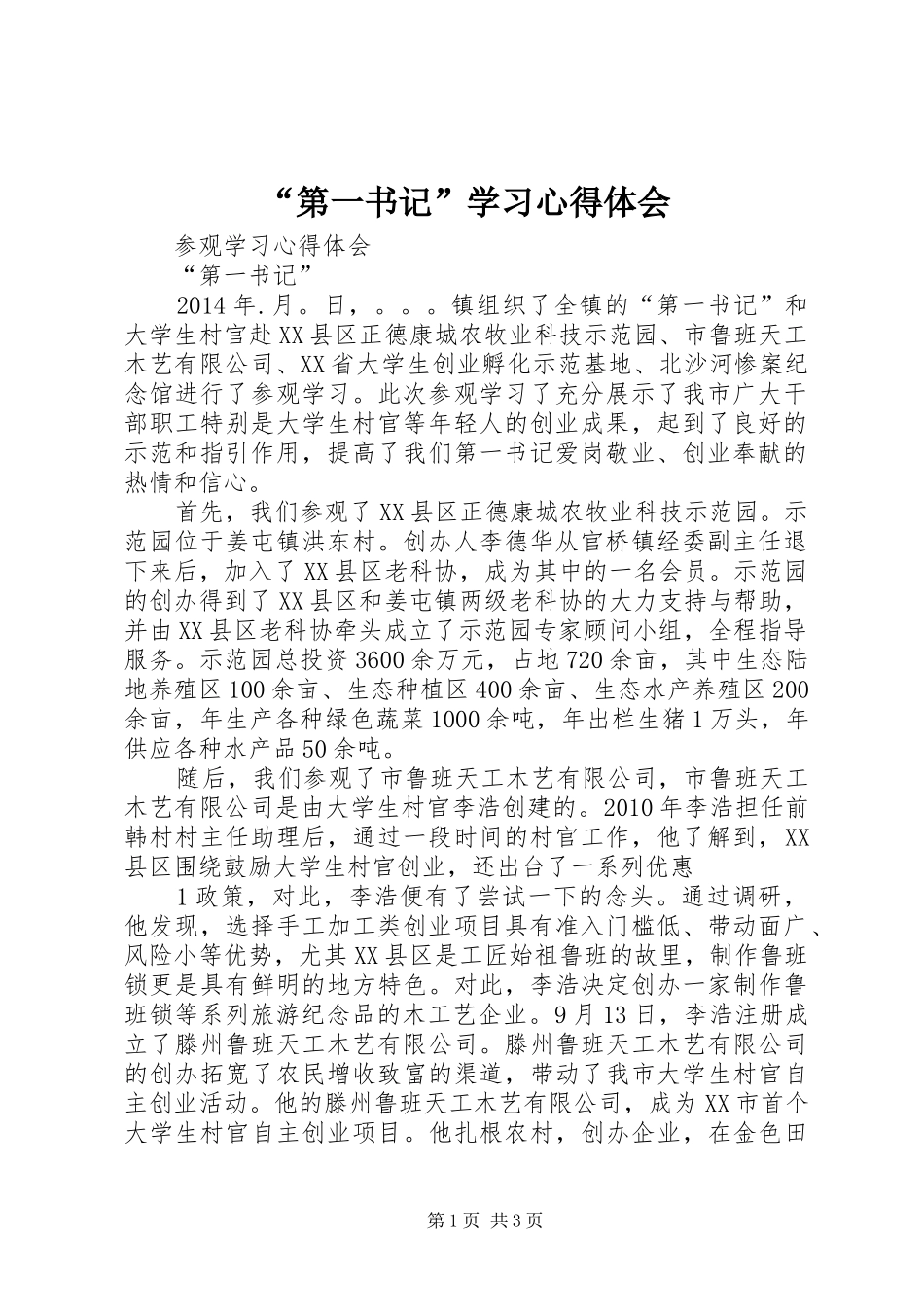 “第一书记”学习心得体会_3_第1页