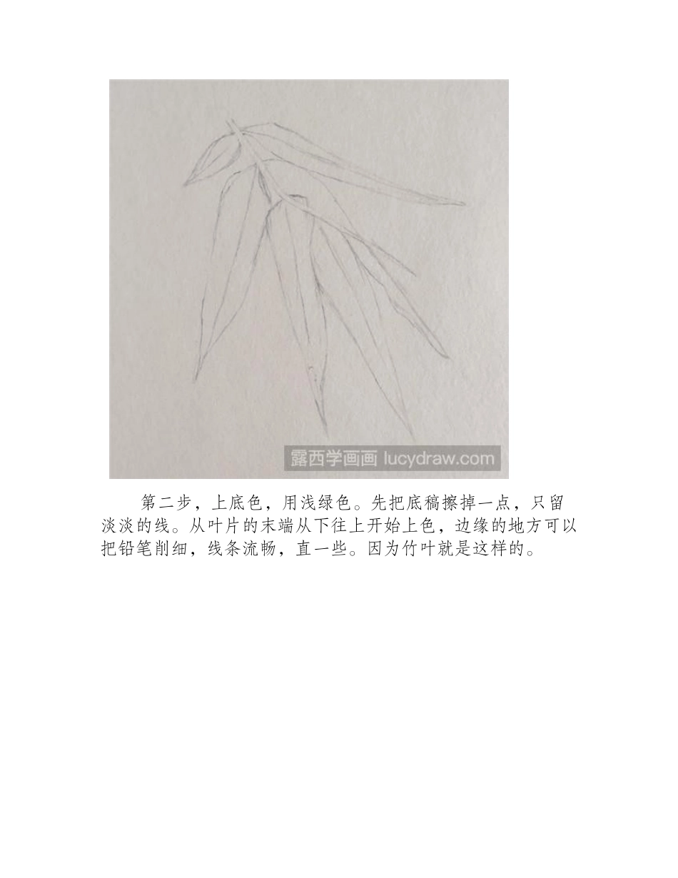 用彩铅画竹叶怎么画彩铅画教程_第2页