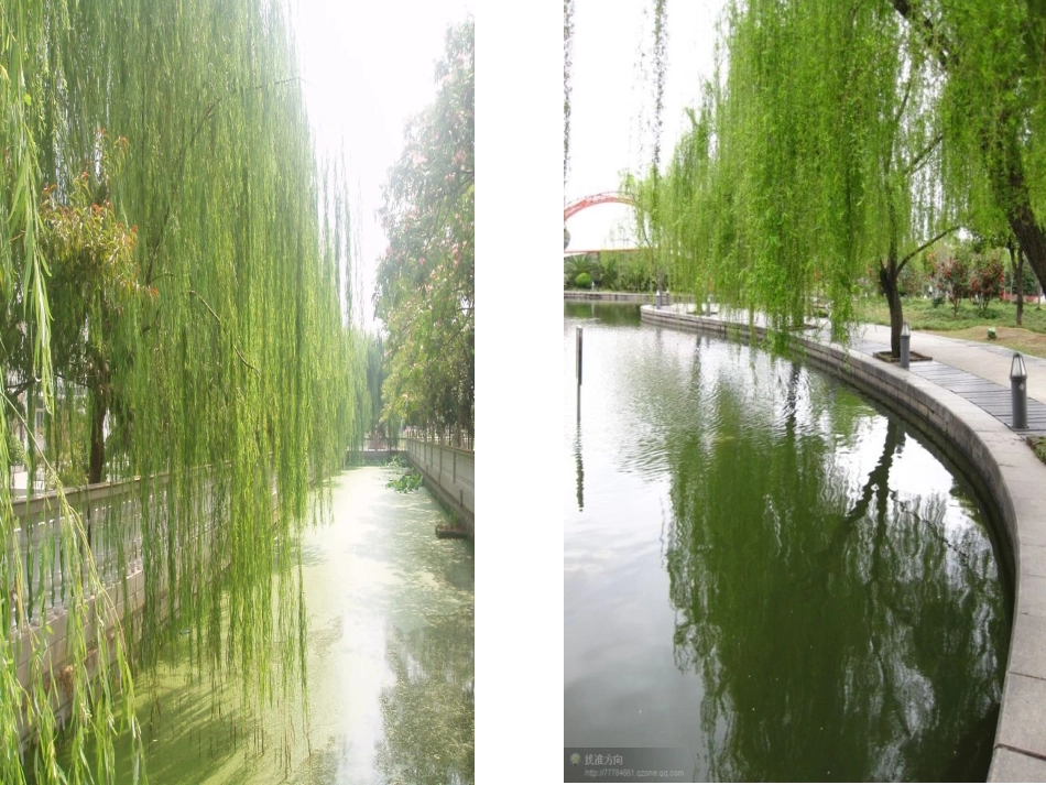 2.《咏柳》_第2页