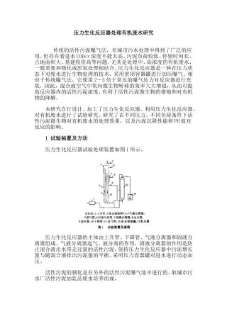 压力生化反应器处理有机废水研究