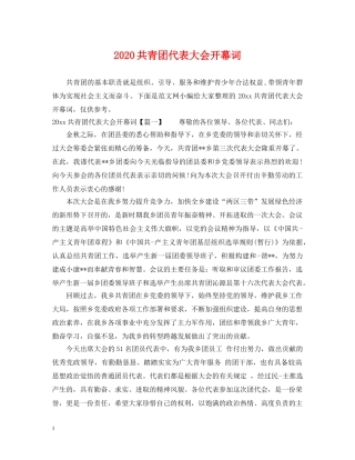 2024共青团代表大会开幕词