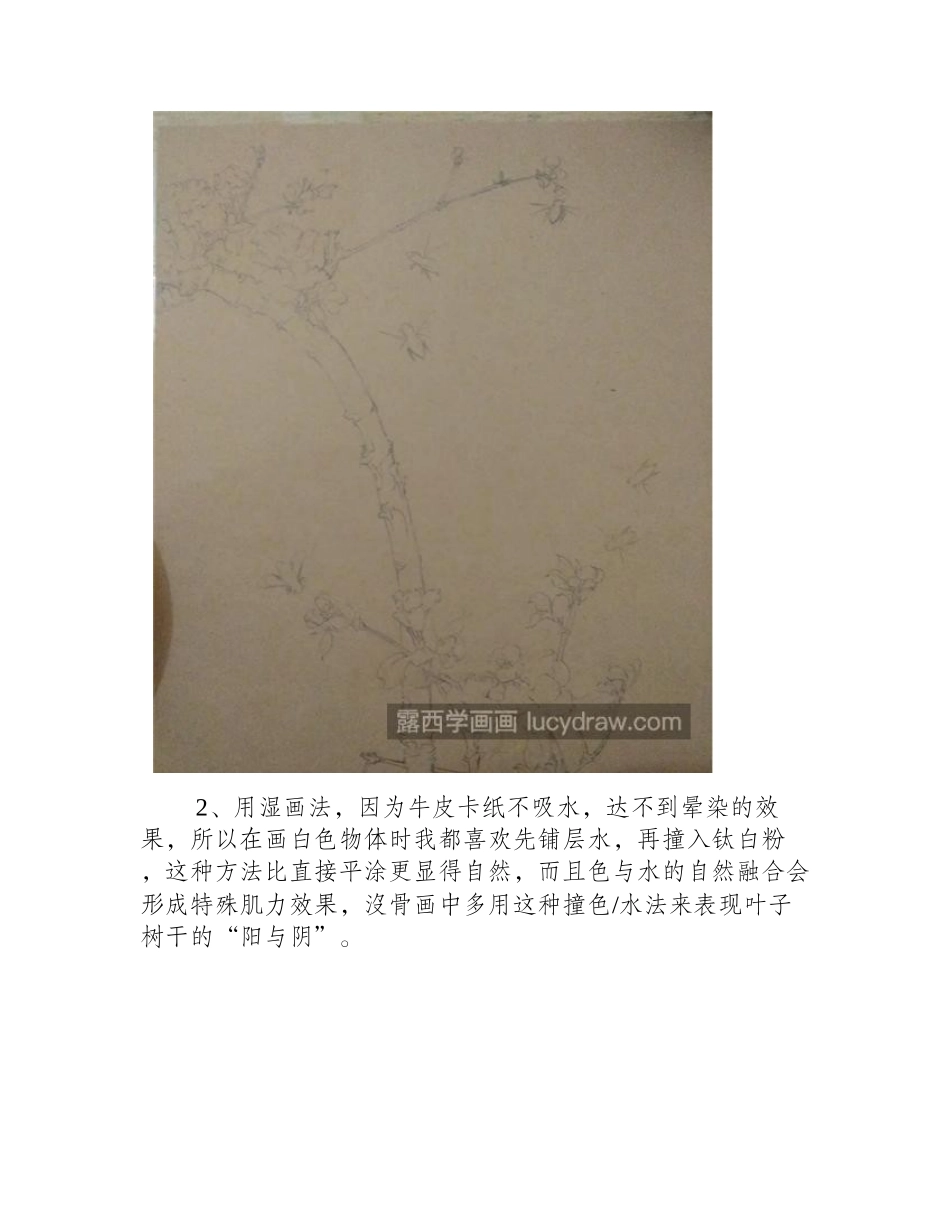 杏花怎么画_详细的国画步骤有哪些_国画教程_第2页