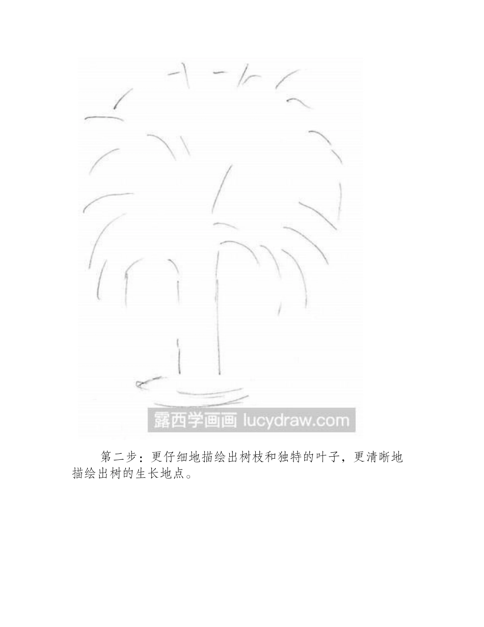 棕榈树素描教程素描教程_第2页