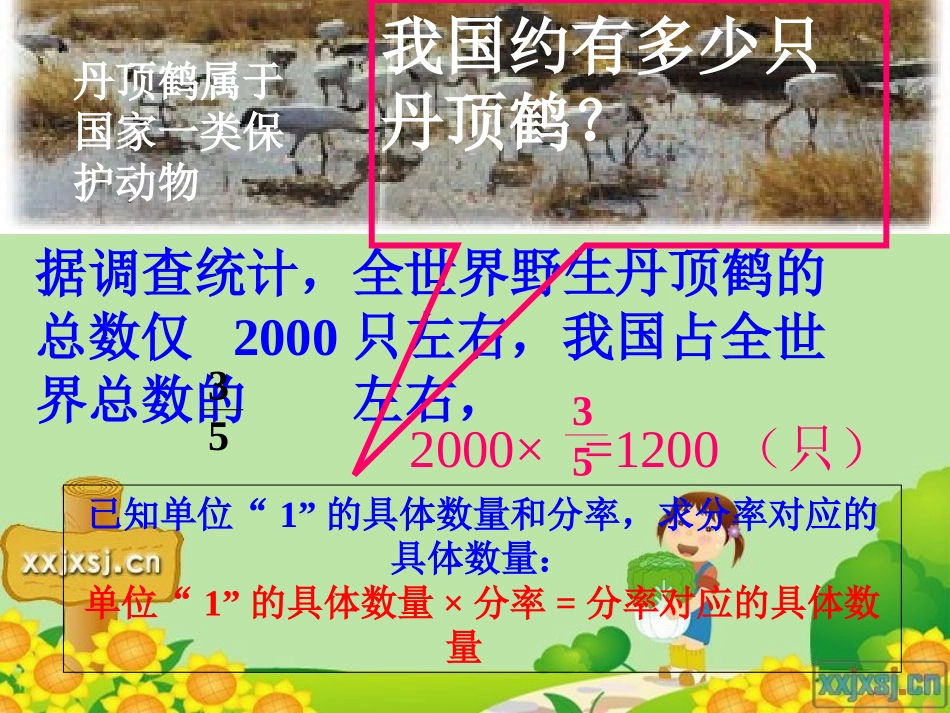 -稍复杂的分数乘法应用题(例2)_第3页