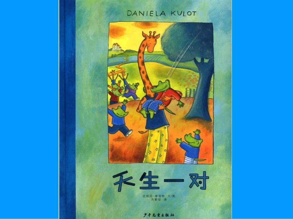 绘本《天生一对》_第1页