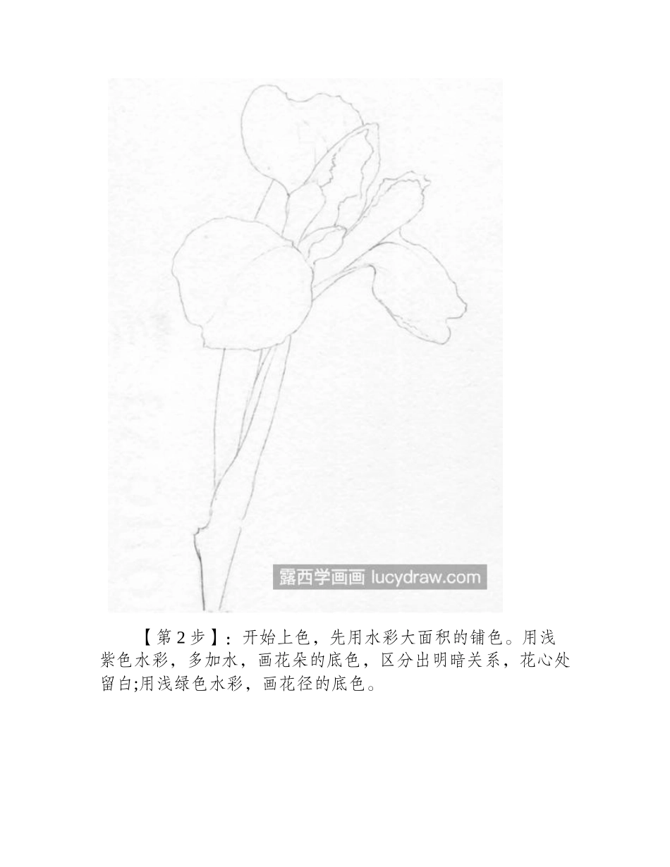 鸢尾花怎么画_蓝蝴蝶的绘画步骤有哪些_彩铅画教程_第2页