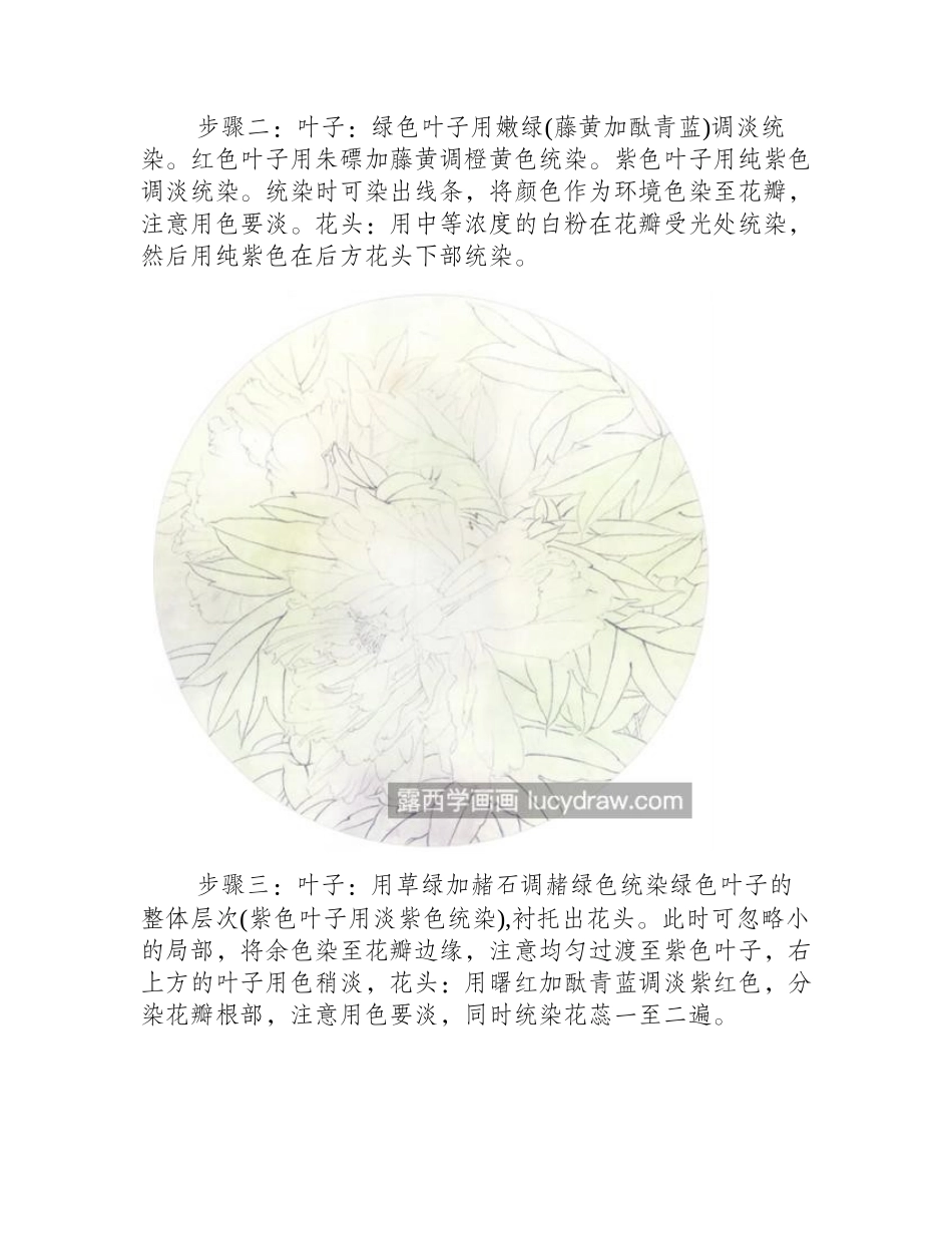紫牡丹怎么画_有哪些绘画步骤_工笔画教程_第2页