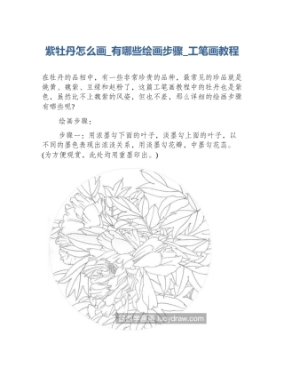 紫牡丹怎么画_有哪些绘画步骤_工笔画教程