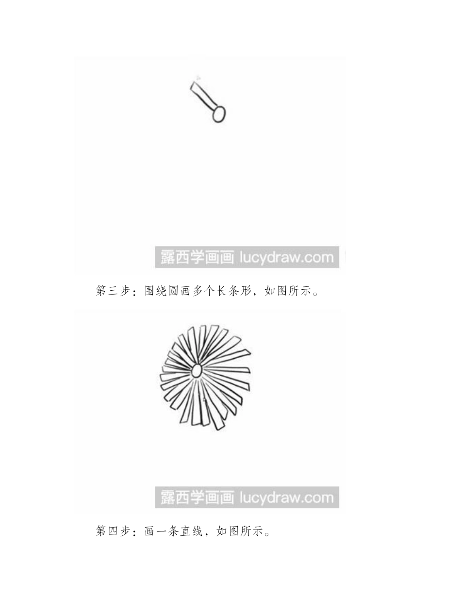 怎么画雏菊简笔画教程_第2页