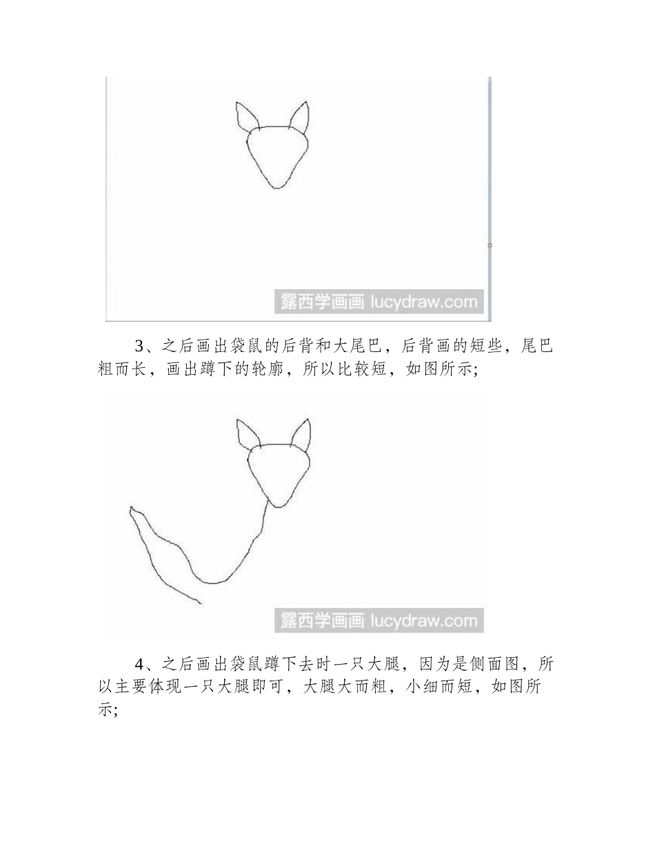 坐下的袋鼠怎么画简笔画教程_第2页
