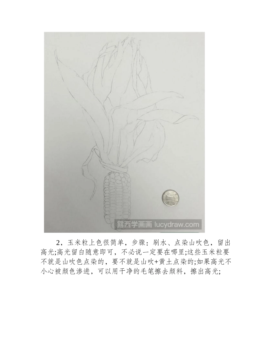 玉米水彩画教程水彩画教程_第2页