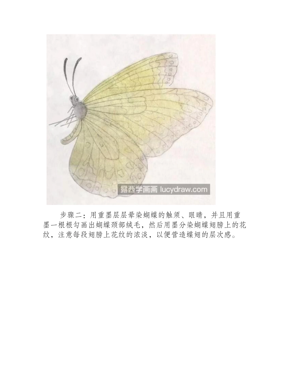怎么画蝴蝶和金鱼_它们的工笔画步骤有哪些_工笔画教程_第2页