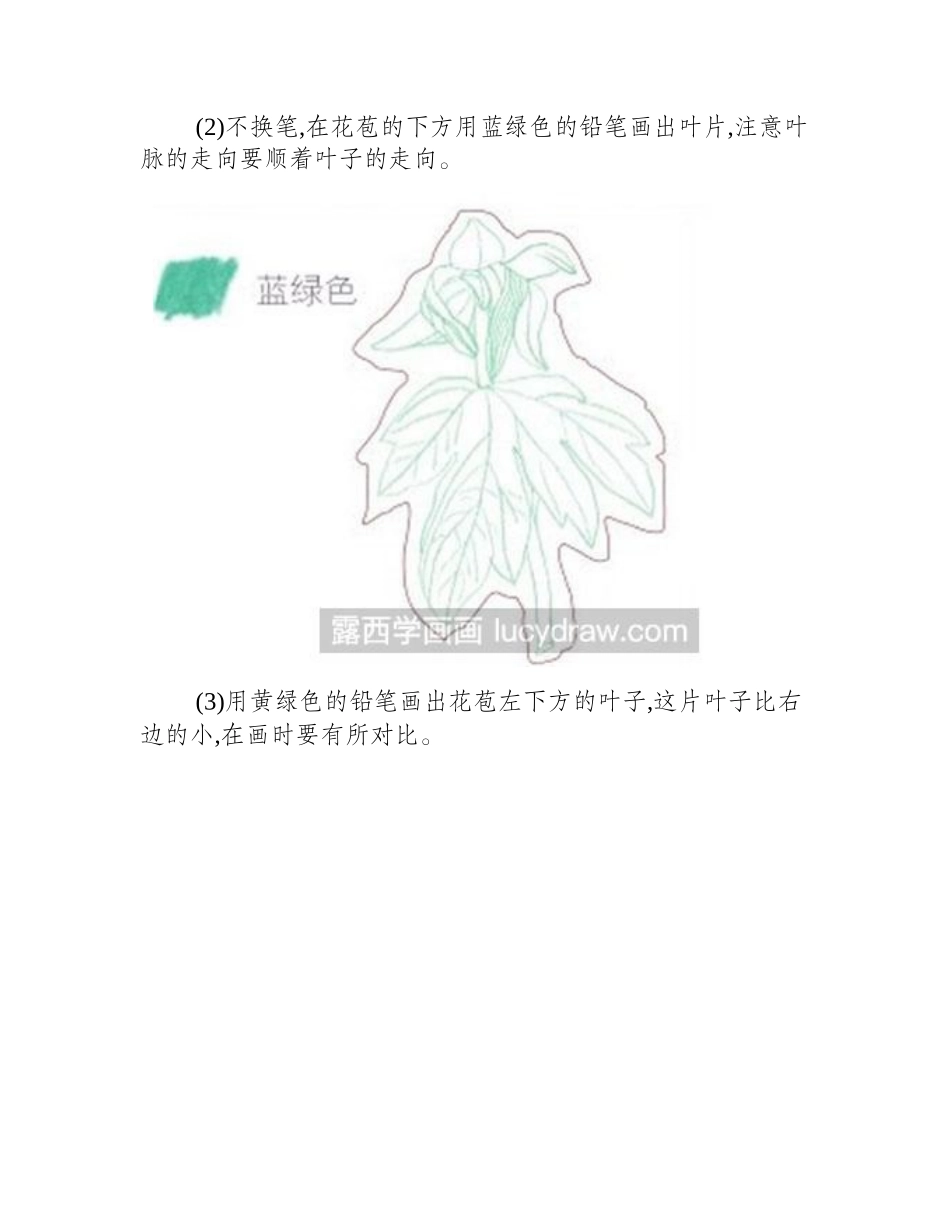怎么绘制彩铅画芍药彩铅画教程1_第2页
