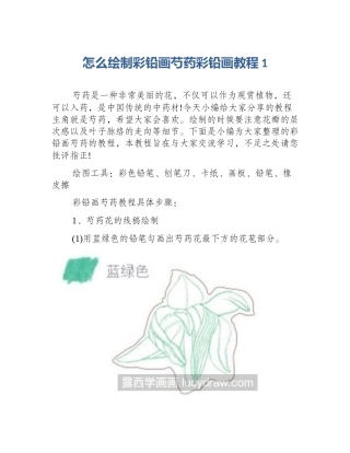 怎么绘制彩铅画芍药彩铅画教程1